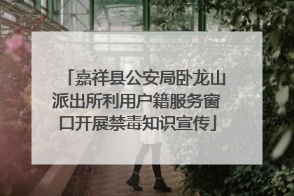 嘉祥县公安局卧龙山派出所利用户籍服务窗口开展禁毒知识宣传