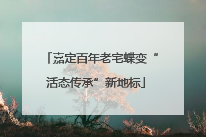 嘉定百年老宅蝶变“活态传承”新地标