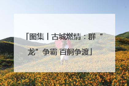 图集丨古城燃情：群“龙”争霸 百舸争渡
