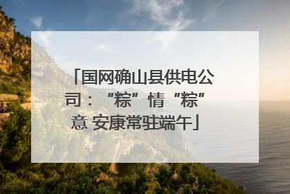 国网确山县供电公司：“粽”情“粽”意 安康常驻端午