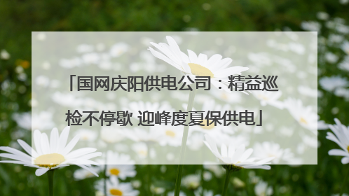 国网庆阳供电公司：精益巡检不停歇 迎峰度夏保供电