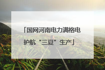 国网河南电力满格电护航“三夏”生产