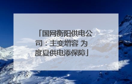 国网衡阳供电公司：主变增容 为度夏供电添保障