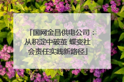国网金昌供电公司：从积淀中破茧 蝶变社会责任实践新路径