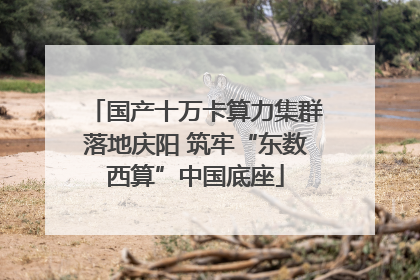 国产十万卡算力集群落地庆阳 筑牢“东数西算”中国底座