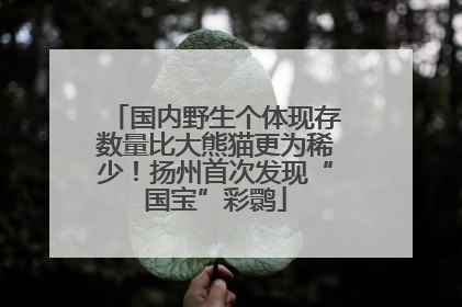 国内野生个体现存数量比大熊猫更为稀少！扬州首次发现“国宝”彩鹮