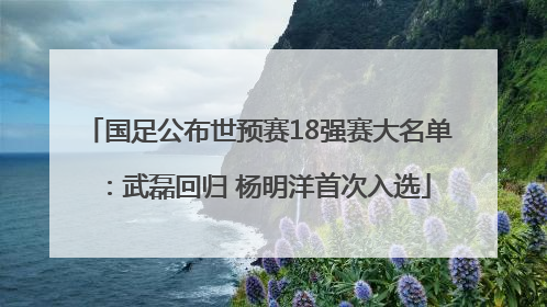 国足公布世预赛18强赛大名单：武磊回归 杨明洋首次入选