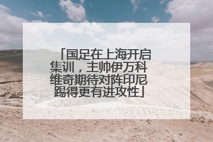 国足在上海开启集训，主帅伊万科维奇期待对阵印尼踢得更有进攻性