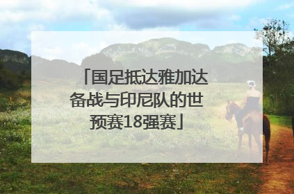 国足抵达雅加达备战与印尼队的世预赛18强赛