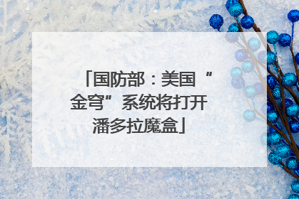 国防部：美国“金穹”系统将打开潘多拉魔盒