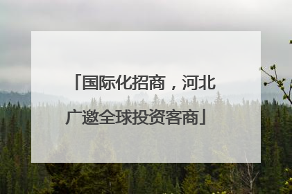 国际化招商，河北广邀全球投资客商