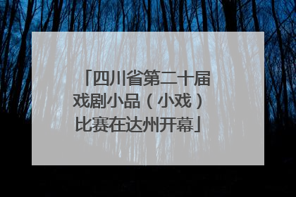 四川省第二十届戏剧小品（小戏）比赛在达州开幕