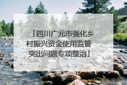四川广元市强化乡村振兴资金使用监管突出问题专项整治