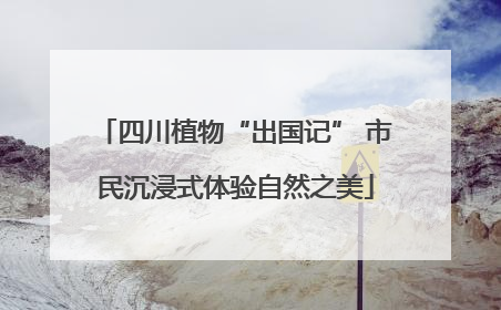四川植物“出国记” 市民沉浸式体验自然之美
