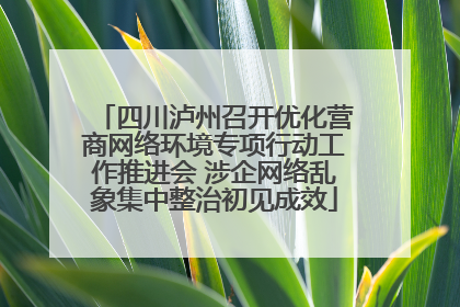 四川泸州召开优化营商网络环境专项行动工作推进会 涉企网络乱象集中整治初见成效