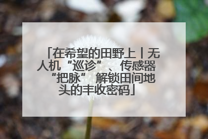 在希望的田野上丨无人机“巡诊”、传感器“把脉” 解锁田间地头的丰收密码