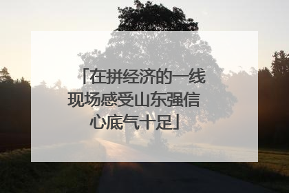 在拼经济的一线现场感受山东强信心底气十足