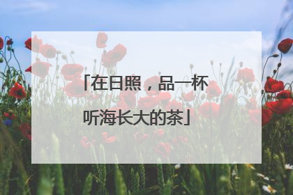 在日照，品一杯听海长大的茶