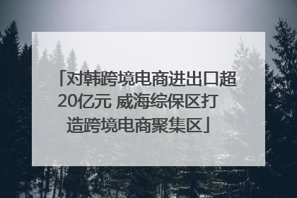 对韩跨境电商进出口超20亿元 威海综保区打造跨境电商聚集区
