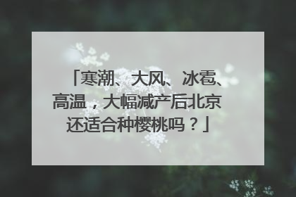 寒潮、大风、冰雹、高温，大幅减产后北京还适合种樱桃吗？
