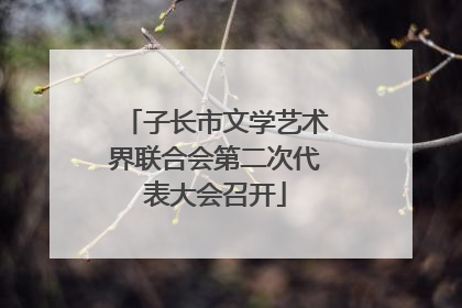 子长市文学艺术界联合会第二次代表大会召开