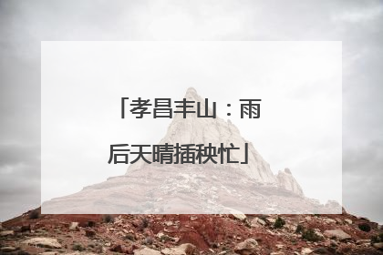 孝昌丰山：雨后天晴插秧忙