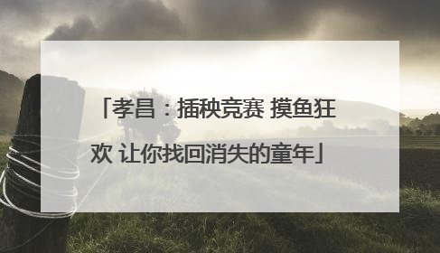 孝昌：插秧竞赛 摸鱼狂欢 让你找回消失的童年