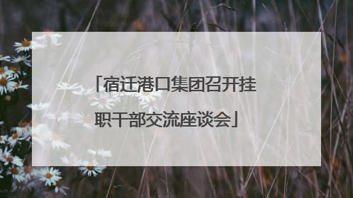 宿迁港口集团召开挂职干部交流座谈会