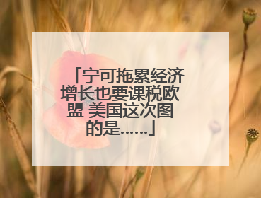 宁可拖累经济增长也要课税欧盟 美国这次图的是……