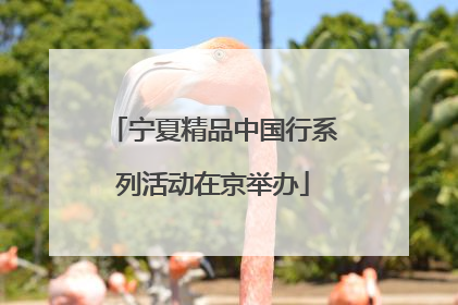 宁夏精品中国行系列活动在京举办