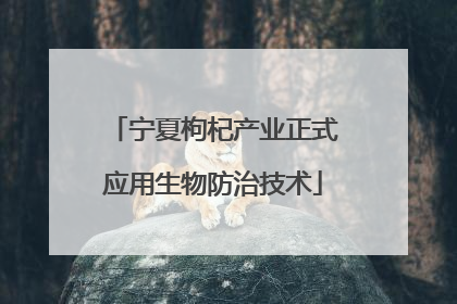 宁夏枸杞产业正式应用生物防治技术