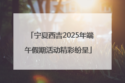 宁夏西吉2025年端午假期活动精彩纷呈