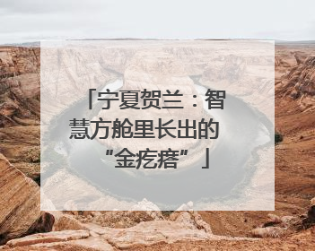 宁夏贺兰：智慧方舱里长出的“金疙瘩”