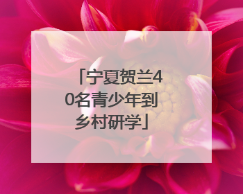 宁夏贺兰40名青少年到乡村研学