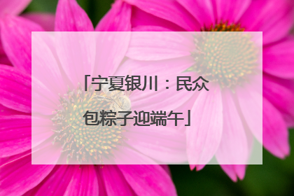 宁夏银川：民众包粽子迎端午