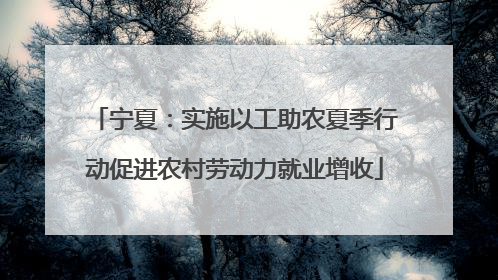 宁夏：实施以工助农夏季行动促进农村劳动力就业增收