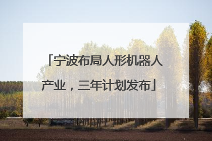 宁波布局人形机器人产业，三年计划发布