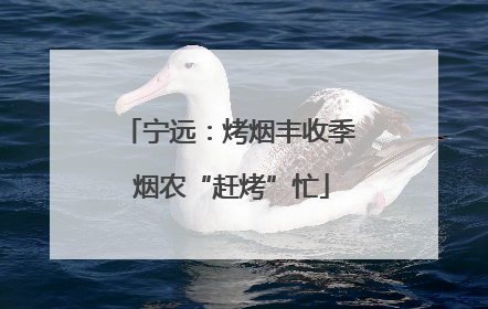 宁远：烤烟丰收季 烟农“赶烤”忙