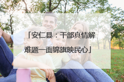 安仁县：干部真情解难题一面锦旗映民心