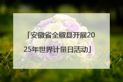 安徽省全椒县开展2025年世界计量日活动