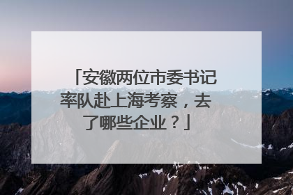 安徽两位市委书记率队赴上海考察，去了哪些企业？
