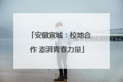 安徽宣城：校地合作 澎湃青春力量