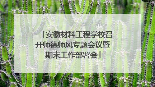安徽材料工程学校召开师德师风专题会议暨期末工作部署会