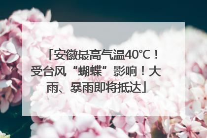 安徽最高气温40℃！受台风“蝴蝶”影响！大雨、暴雨即将抵达