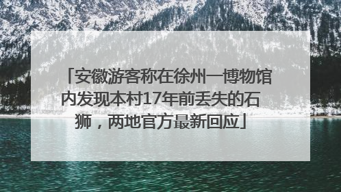 安徽游客称在徐州一博物馆内发现本村17年前丢失的石狮，两地官方最新回应