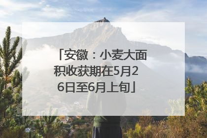 安徽：小麦大面积收获期在5月26日至6月上旬