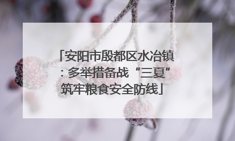 安阳市殷都区水冶镇：多举措备战“三夏” 筑牢粮食安全防线