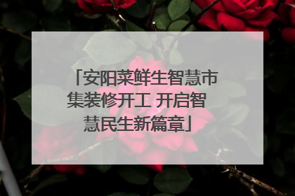 安阳菜鲜生智慧市集装修开工 开启智慧民生新篇章