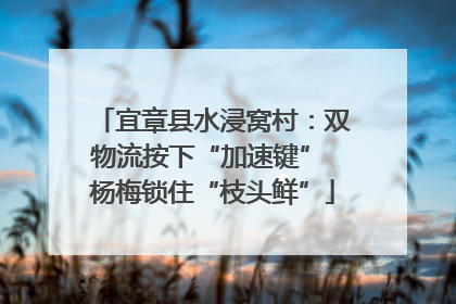 宜章县水浸窝村：双物流按下“加速键” 杨梅锁住“枝头鲜”