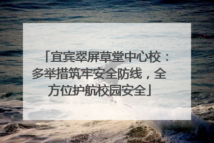 宜宾翠屏草堂中心校：多举措筑牢安全防线，全方位护航校园安全